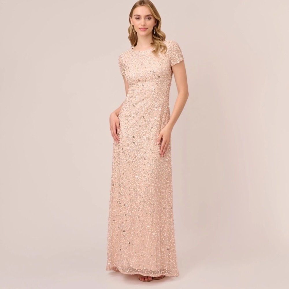 Adrianna Papell Blush Pink Sequin Short-Sleeve Maxi Gown